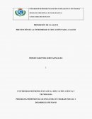 PROGRAMA PROFESIONAL LICENCIATURA EN TRABAJO SOCIAL Y DESARROLLO HUMANO