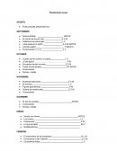 Planificación anual AGOSTO