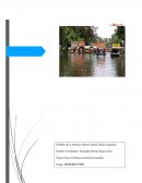 Actividad integradora Contaminacion quimica del agua