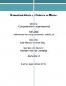 Actividad: “Elementos del comportamiento individual”