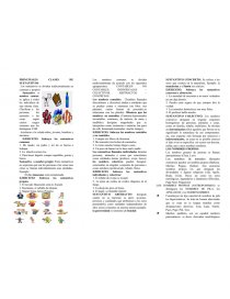 Triptico de sustantivos. Página 1