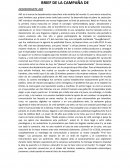 BRIEF DE LA CAMPAÑA DE DESODORANTE AXE