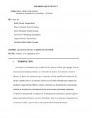 ARANCELES EN EL COMERCIO EXTERIOR