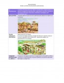 Linea del tiempo administracion