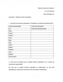 Actividad 5 Modelo primario exportador