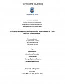Escuelas Montessori, teoría y método. Aplicaciones en Chile, ventajas y desventajas