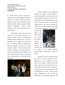 Cuna de reflexiones, sensaciones y sentimientos