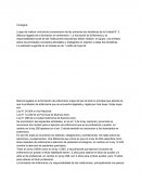 Actividad 2 La formación de enfermería y la responsabilidad