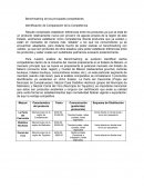 Benchmarking de los principales competidores