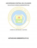 Activos no corrientes (P.P.E)