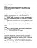 TRABAJO COLABORATIVO SENA