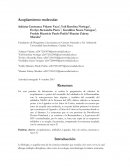 Práctica de laboratorio Acoplamiento molecular