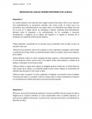 MÚSCULOS DEL CUELLO: REGIÓN POSTERIOR O DE LA NUCA