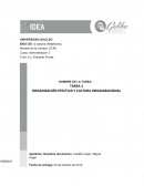 ORGANIZACIÓN EFECTIVA Y CULTURA ORGANIZACIONAL