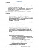 Actividad Sociedad Anonima Laboral