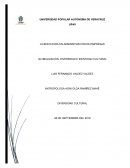 Globalizacion, diversidad e identidad cultural