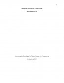 Especialización Tecnológica En Talento Humano Por Competencias