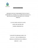 IMPLEMENTACIÓN DE UN PROCEDIMIENTO EFICAZ PARA EL MEJORAMIENTO Y CONTROL DE LAS COMPRAS REALIZADAS EN LA ORGANIZACIÓN MARKETING BOUTIQUE, DE LA CIUDAD DE MEDELLIN