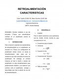 RETROALIMENTACIÓN CARACTERISTICAS