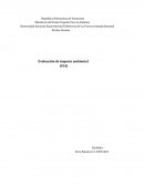 Evaluación de impacto ambiental