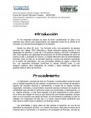 Administración, planeación y organización de sistemas de información