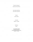 Laboratorio de electrónica Cálculo de circuitos mixtos