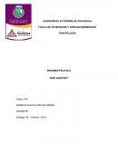 RESUMEN PELICULA “MAR ADENTRO”