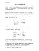 LAS SEIS MANERAS DE VER