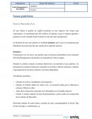 Casos prácticos Nueva Pinocchio S.A.