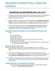 RESUMEN EXAMEN FINAL DERECHO LABORAL. Página 1