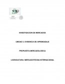 UNIDAD 3. EVIDENCIA DE APRENDIZAJE PROPUESTA MERCADOLOGICA