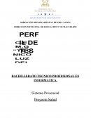 Informe Perfil de TES