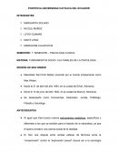 FUNDAMENTOS SOCIO- CULTURALES DE LA PSICOLOGIA