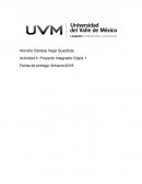 Proyecto integrador “SHEIN”