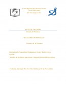 PLAN DE TRABAJO Jornada de Prácticas