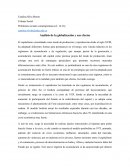 Análisis de la globalización y sus efectos