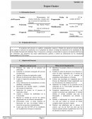 Project chárter ejem