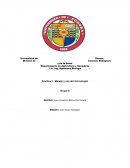 Practica 1. Manejo y uso del microscopio