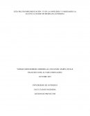 GUÍA PILOTO IMPLEMENTACIÓN 5’S EN LA PAPELERÍA Y VARIEDADES LA LUZ EN LA CIUDAD DE MEDELLIN-ANTIOQUIA