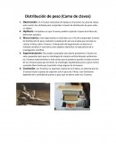 Ejercicios de Distribución de peso (Cama de clavos)