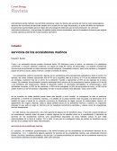 Current Biology Revista