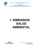 SEPARADORES DIMENSION SALUD AMBIENTAL