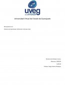 Evidencia de Aprendizaje: Definiendo el mercado meta