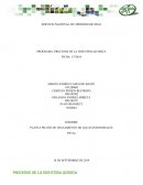 INFORME PLANTA PILOTO DE TRATAMIENTO DE AGUAS INDUSTRIALES