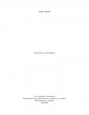 Hablaremos de la importancia del Museo Nacional