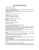 Guía 1 de Neuroanatomía