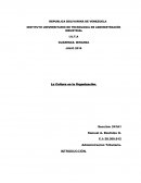 La cultura en la organización