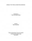 Valores y principios éticos profesionales