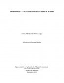 Informe sobre el CVUDES y características de su modelo de formación