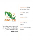 SUBMÓDULO 1: REQUISITA LA DOCUMENTACIÓN ADUANERA DE UNA IMPORTACIÓN Y EXPORTACIÓN